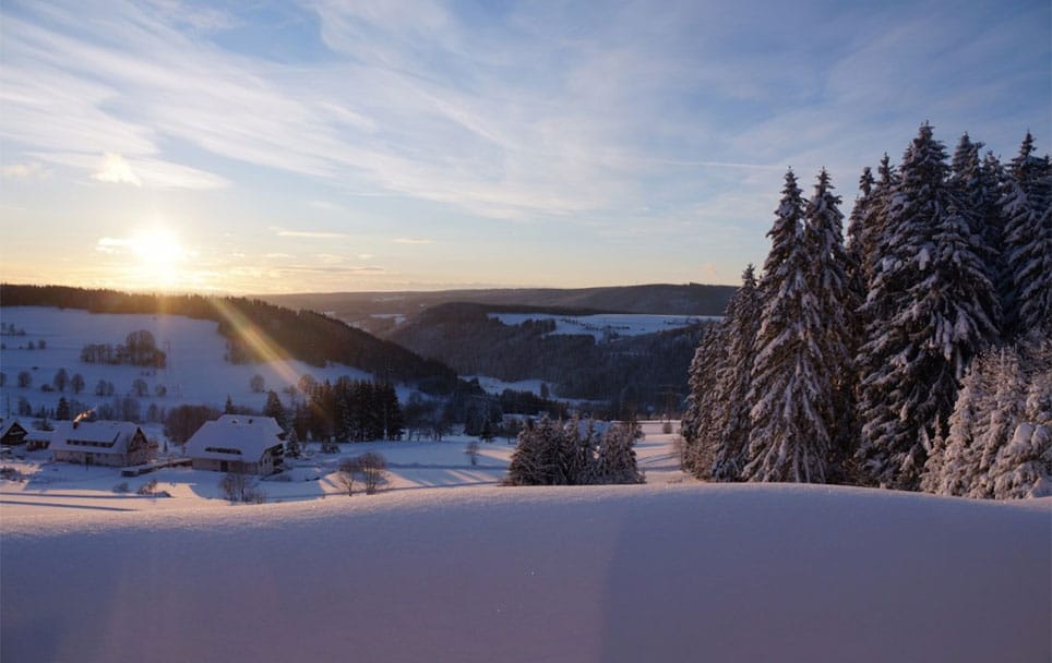 Teamworkshop im Schwarzwald Blogbeitrag